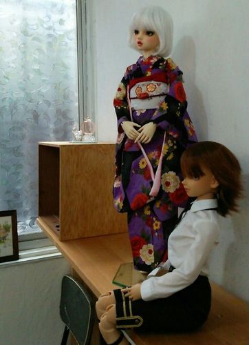 2558310_417.jpg