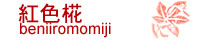 banner.jpg